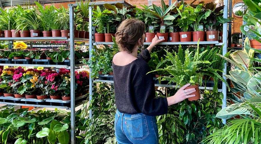 Foire aux Plantes 2024