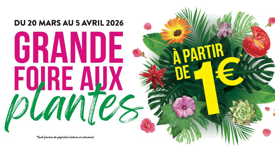 La Grande Foire aux Plantes débarque à Marseille !