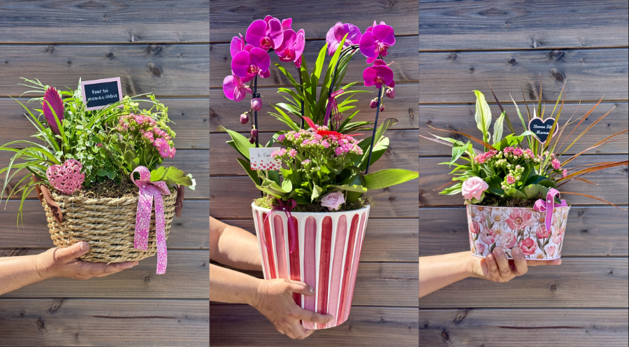 Idées cadeaux fête des mères : notre sélection à la Jardinerie Delbard de Marseille